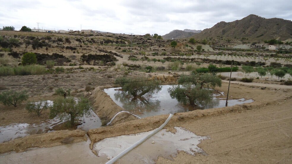 Terrain dans Abanilla, Murcia à vendre - Photo principale – Image 2 sur 31