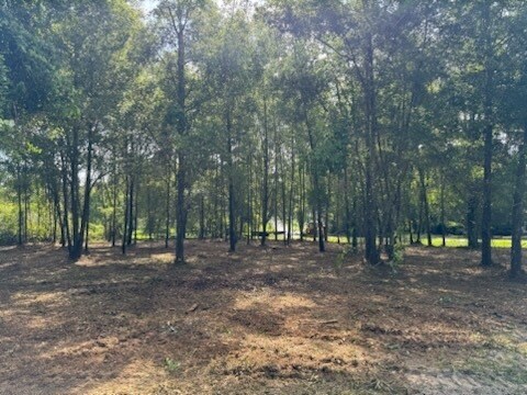 4150 FL-247, Lake City, FL à vendre - Photo de l’immeuble – Image 3 sur 19