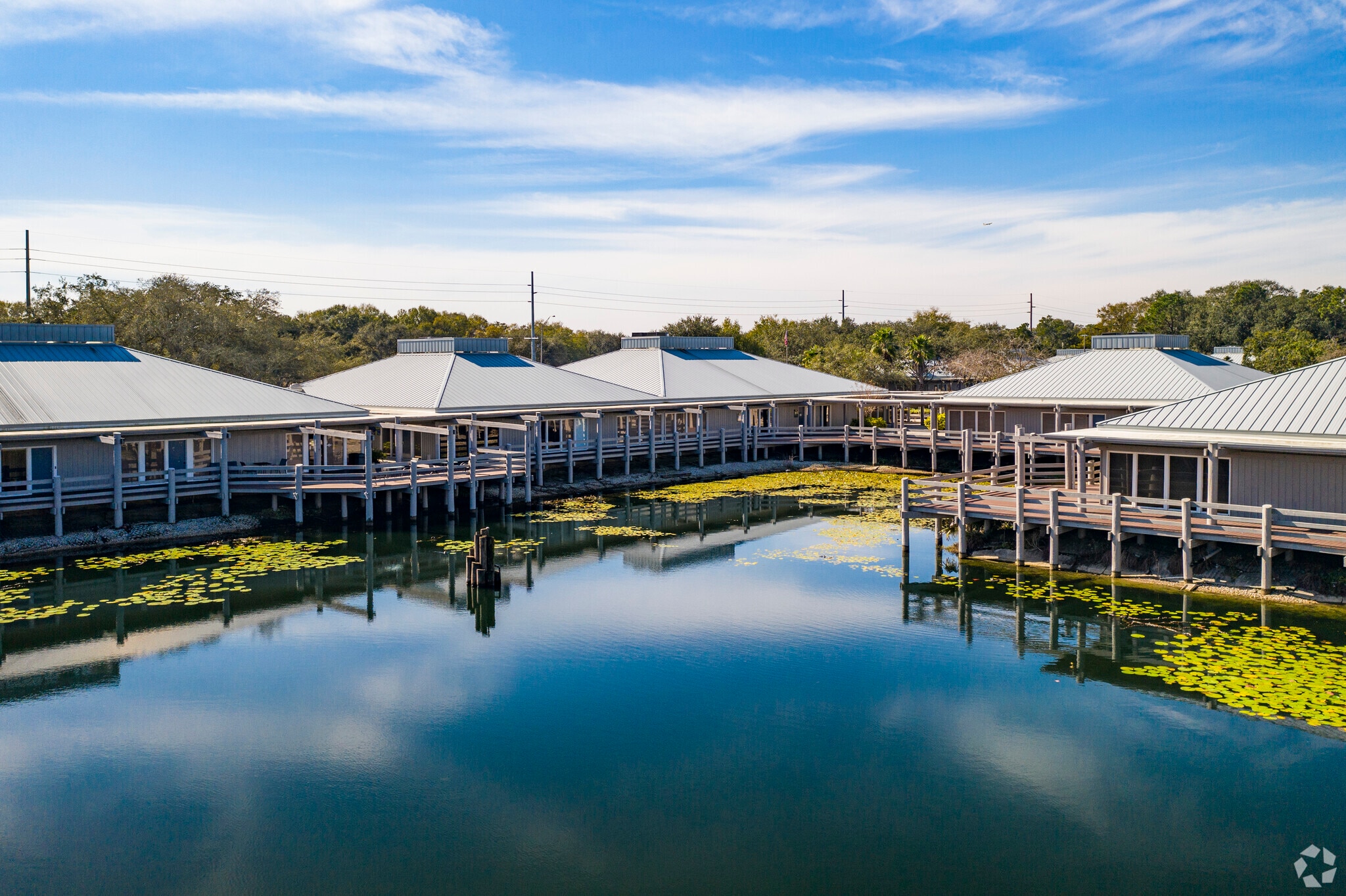 2901 W Busch Blvd, Tampa, FL à louer Photo principale– Image 1 sur 39