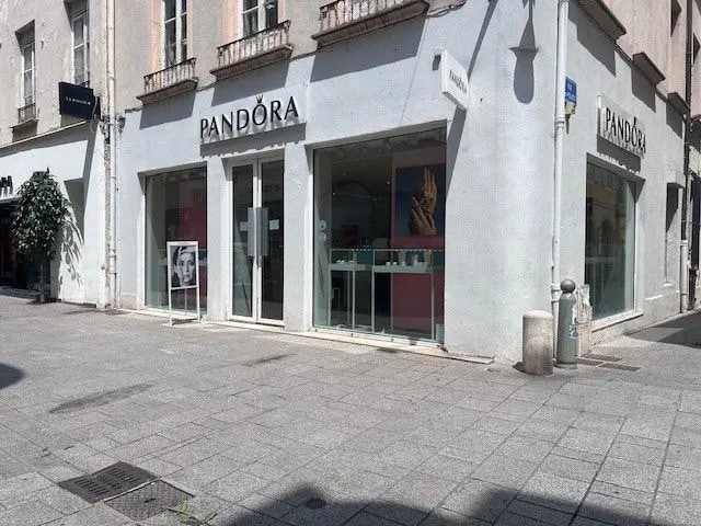 Local commercial dans Chalon-sur-Saône à louer - Photo de l’immeuble – Image 2 sur 2