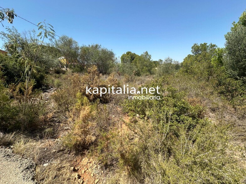 Terrain dans Alberic, Valencia à vendre - Photo principale – Image 1 sur 4
