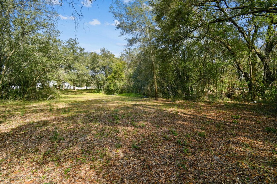 10415 Main Street St, Thonotosassa, FL à vendre - Photo de l’immeuble – Image 3 sur 35