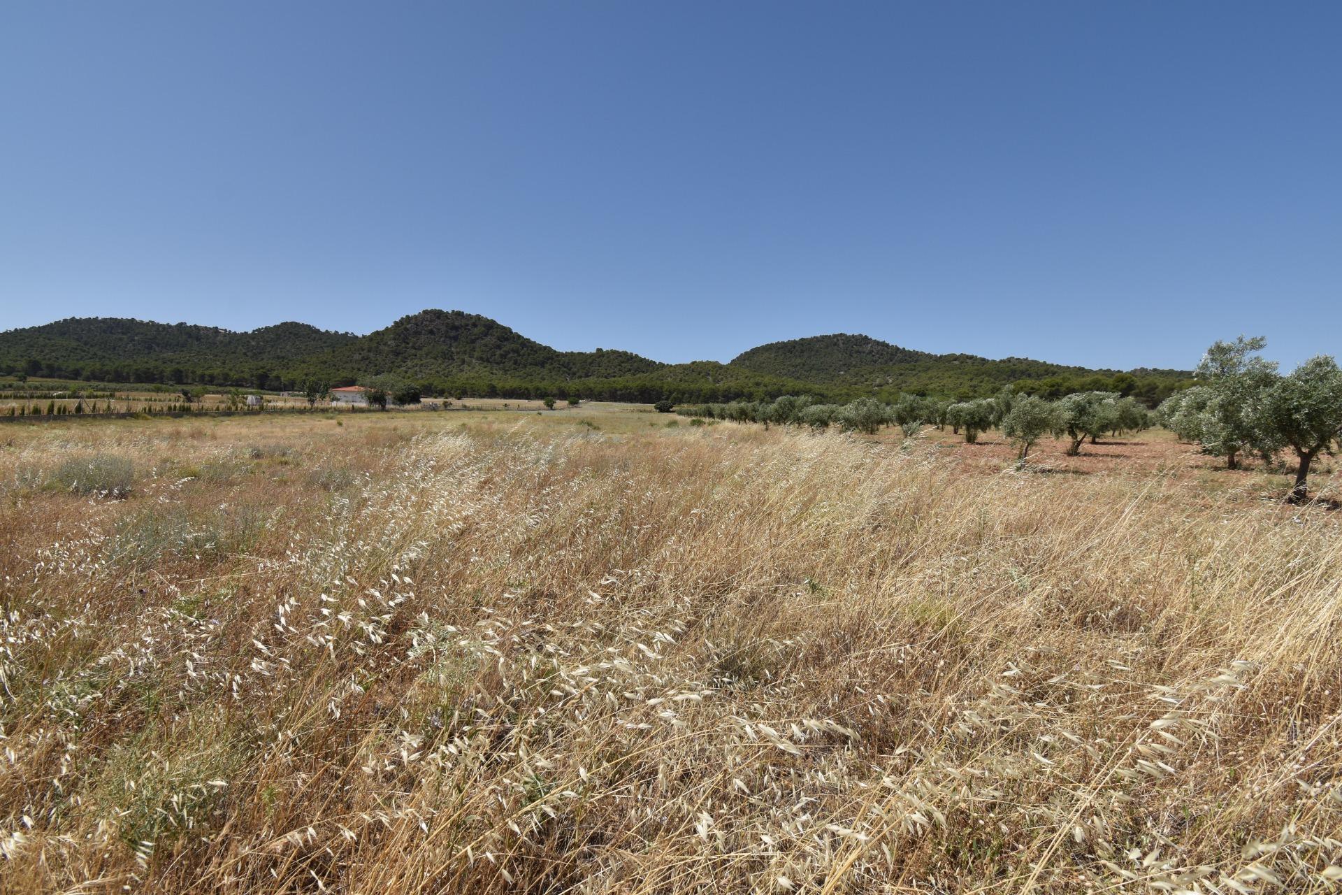 Terrain dans Padul à vendre Aérien– Image 1 sur 5