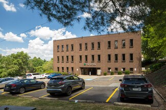 Plus de détails pour 1016 Greentree Rd, Pittsburgh, PA - Bureau à louer