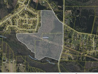Plus de détails pour 991 S Hampton Rd, Hampton, GA - Terrain à vendre