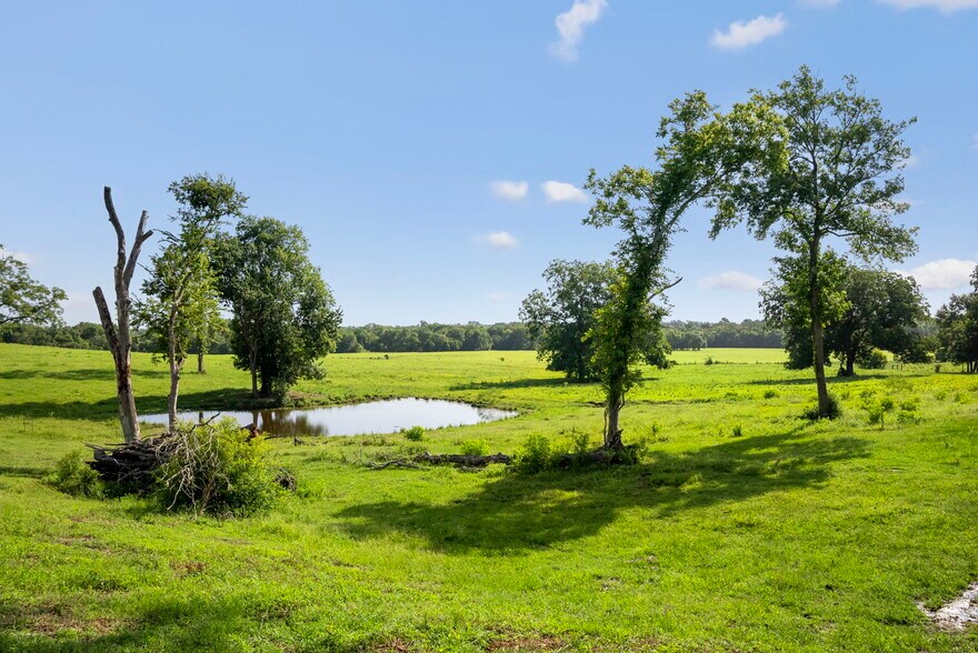18121 TX-105, Plantersville, TX à vendre - Photo de l’immeuble – Image 3 sur 28