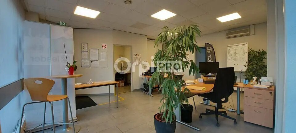 19 Route De Neuf-Brisach, Colmar à louer - Photo de l’immeuble – Image 1 sur 4