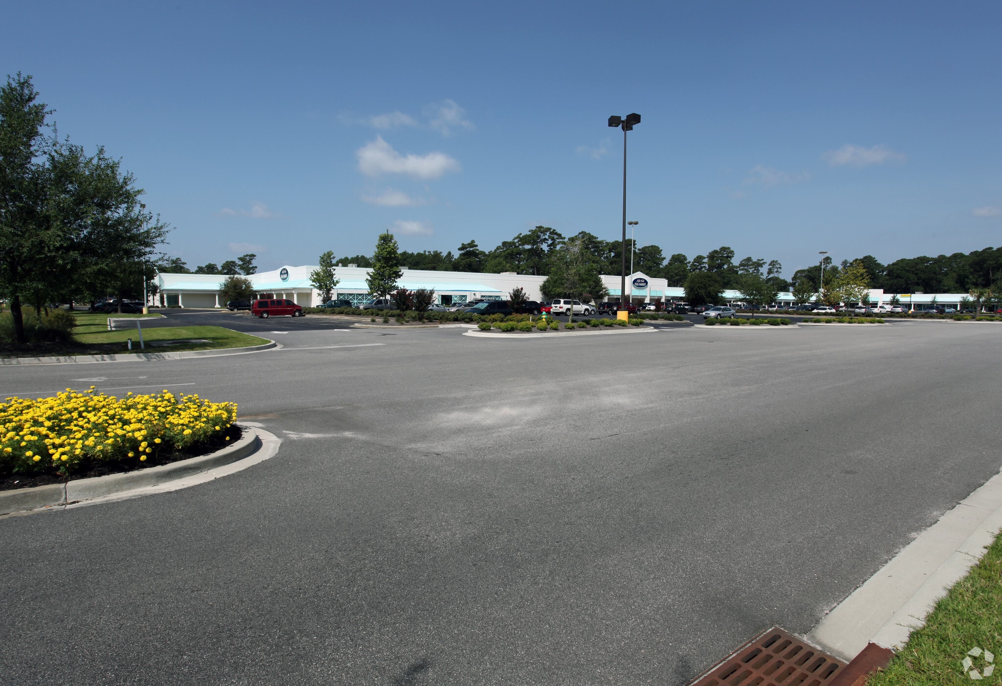 3890 S Kings Hwy, Myrtle Beach, SC à louer Photo principale– Image 1 sur 6