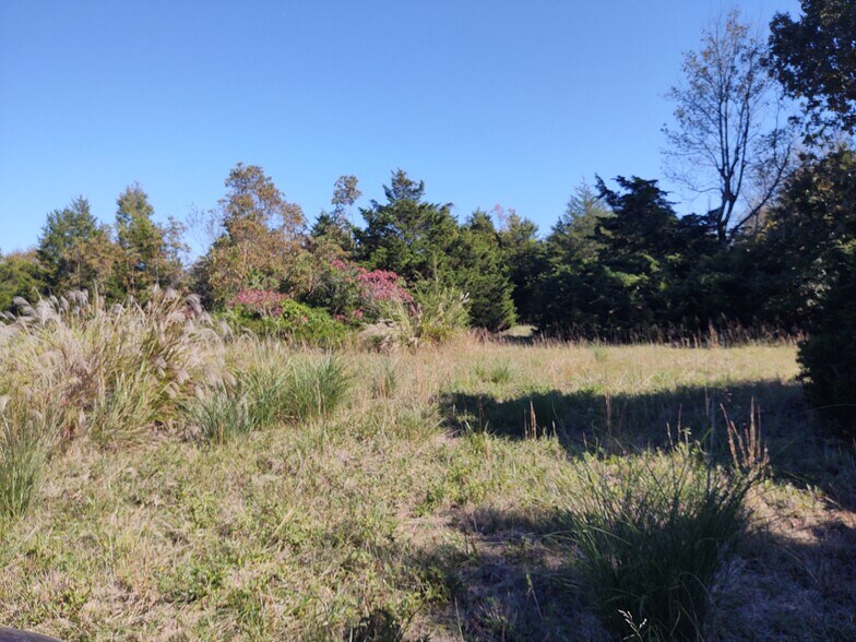 500 E Bumgarner, Strafford, MO à vendre - Autre – Image 2 sur 3