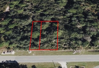 Plus de détails pour 734 Osteen Maytown rd, Osteen, FL - Terrain à vendre