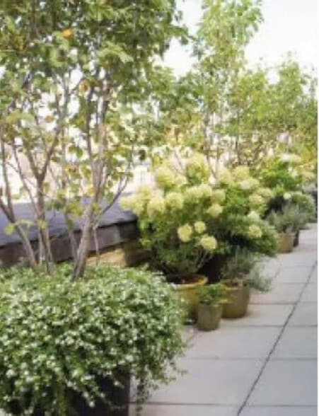 Bureau dans Paris à louer - Photo de l’immeuble – Image 2 sur 24