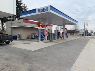 Plus de détails pour 789 Murray St, Wallaceburg, ON - Local commercial à vendre