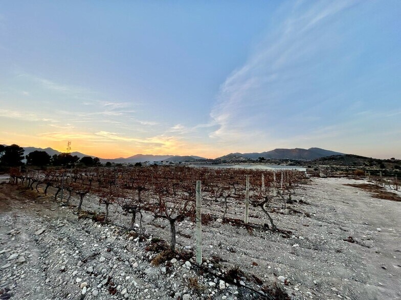 Terrain dans Novelda, Alicante à vendre - Aérien – Image 3 sur 4