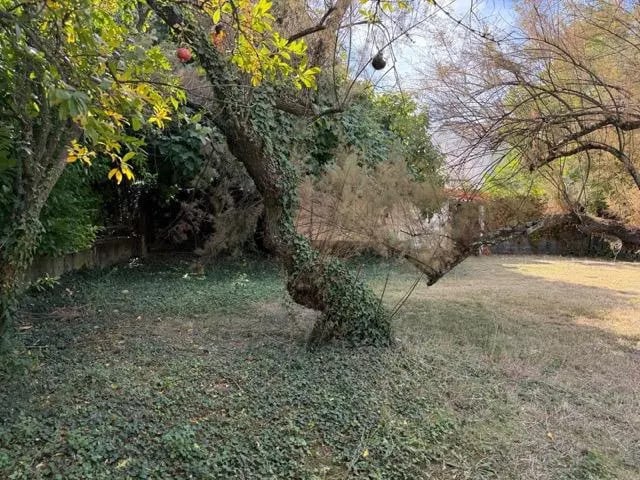 Terrain dans Villevieille à vendre - Photo de l’immeuble – Image 2 sur 2