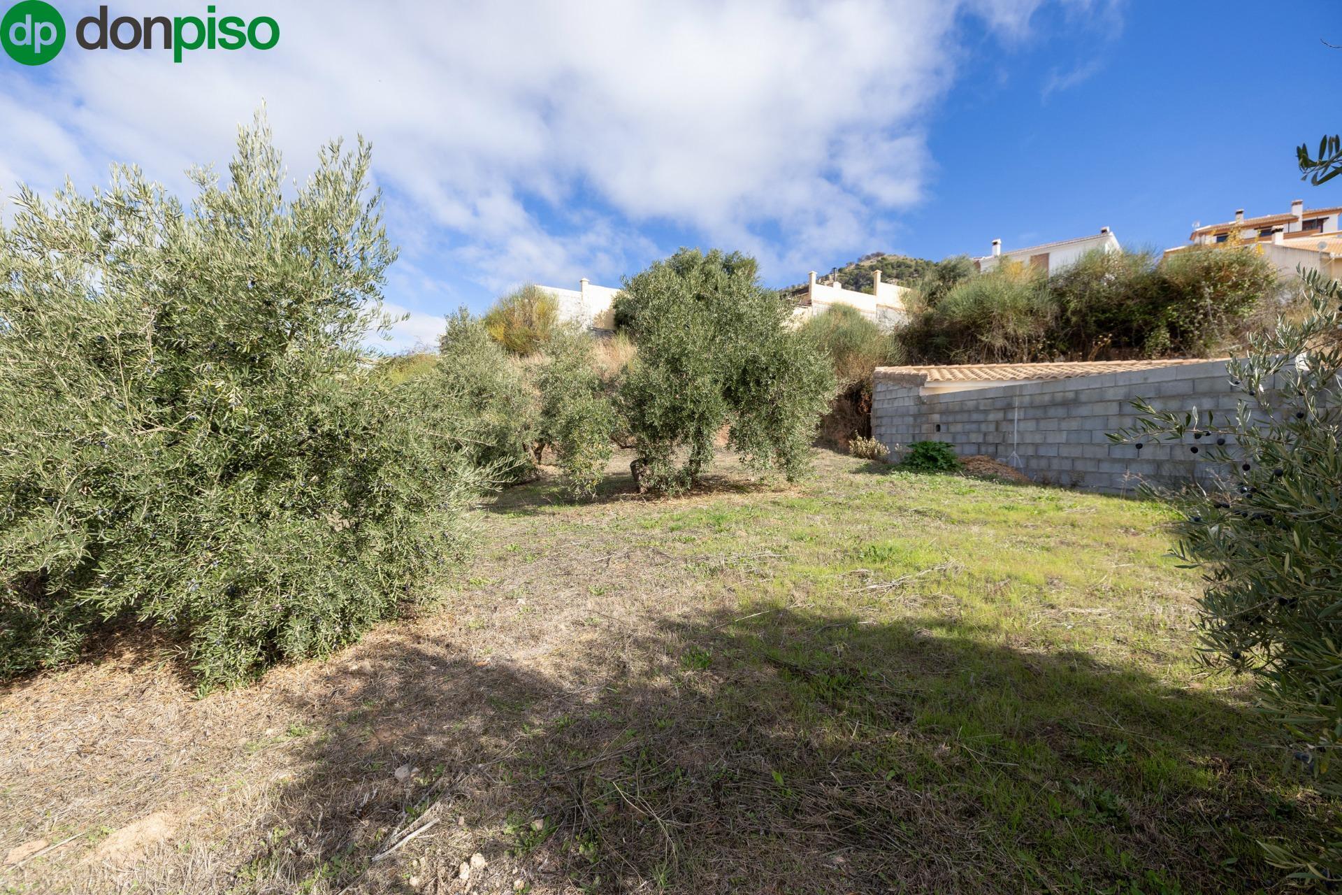 Calle Secano, 3, Nívar, Granada à vendre Photo principale– Image 1 sur 27