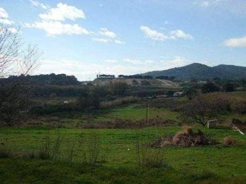 Terrain dans Palafolls, Barcelona à vendre Photo principale– Image 1 sur 3