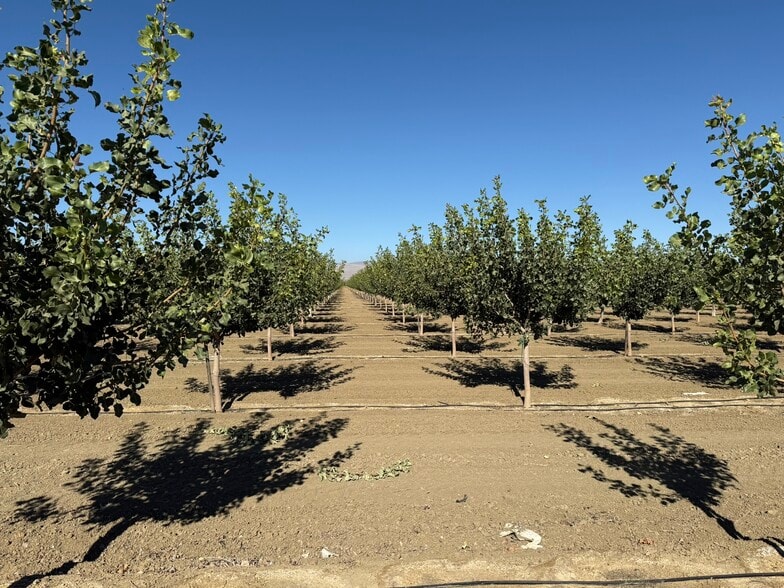 W Cole ave, Coalinga, CA à vendre - Photo de l’immeuble – Image 2 sur 9