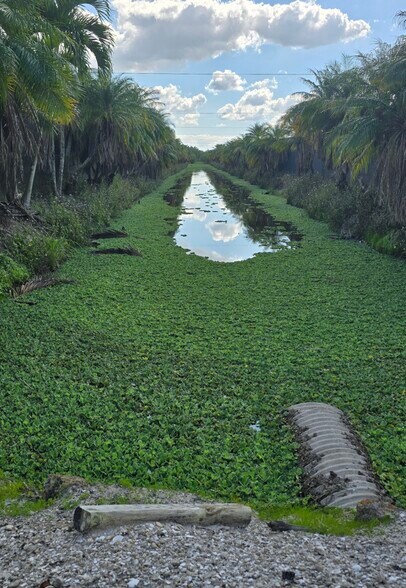20125 Charles Green Blvd, Loxahatchee, FL à vendre - Photo de l’immeuble – Image 3 sur 7