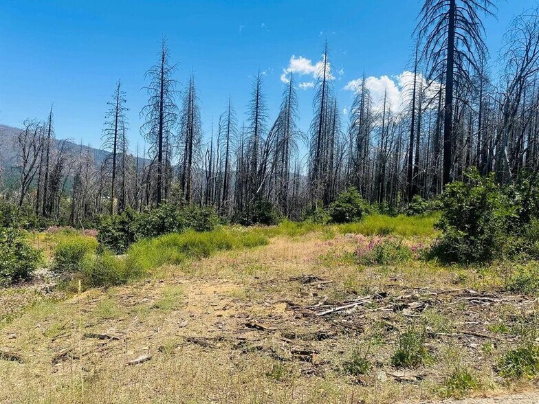 172 Standart Mine Road Rd, Greenville, CA à vendre - Photo de l’immeuble – Image 2 sur 2