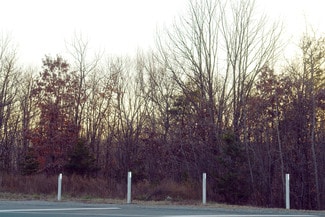 Plus de détails pour 14110 Telegraph Rd, Woodbridge, VA - Terrain à vendre