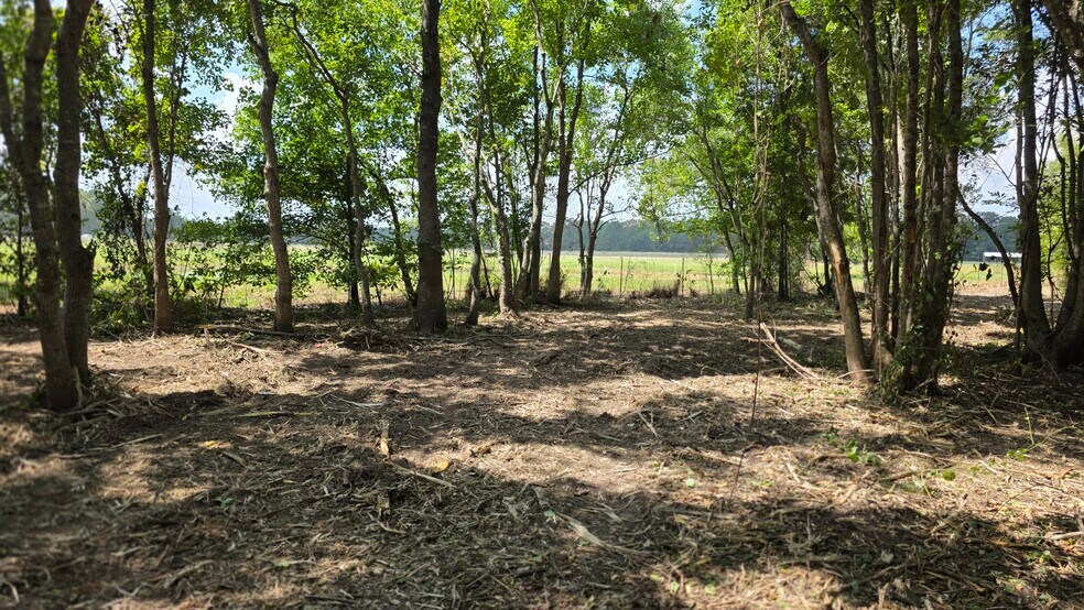 414 Highway 105, Liberty, TX à vendre - Photo de l’immeuble – Image 2 sur 7
