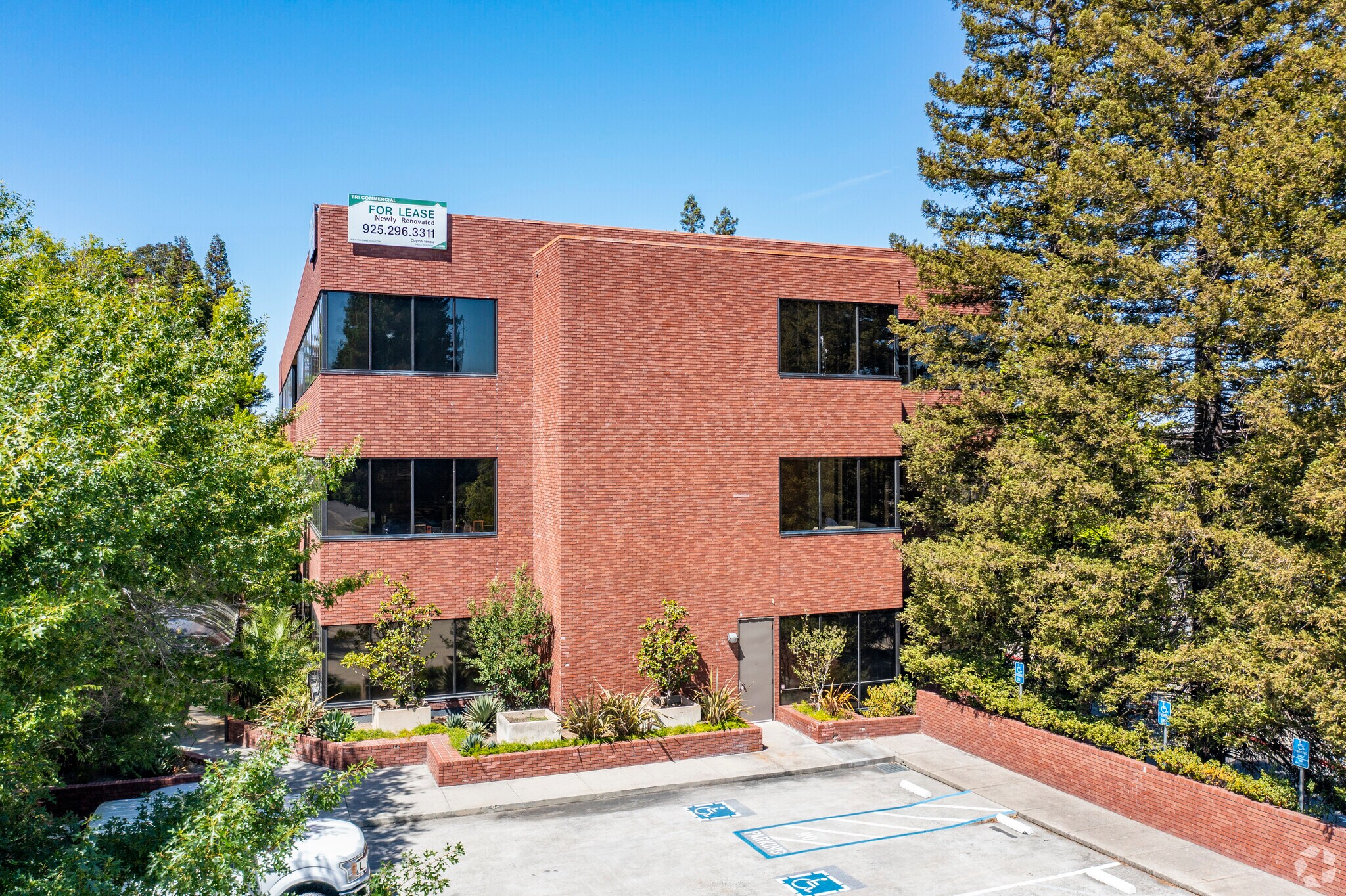 1777 Oakland Blvd, Walnut Creek, CA à louer Photo principale– Image 1 sur 7