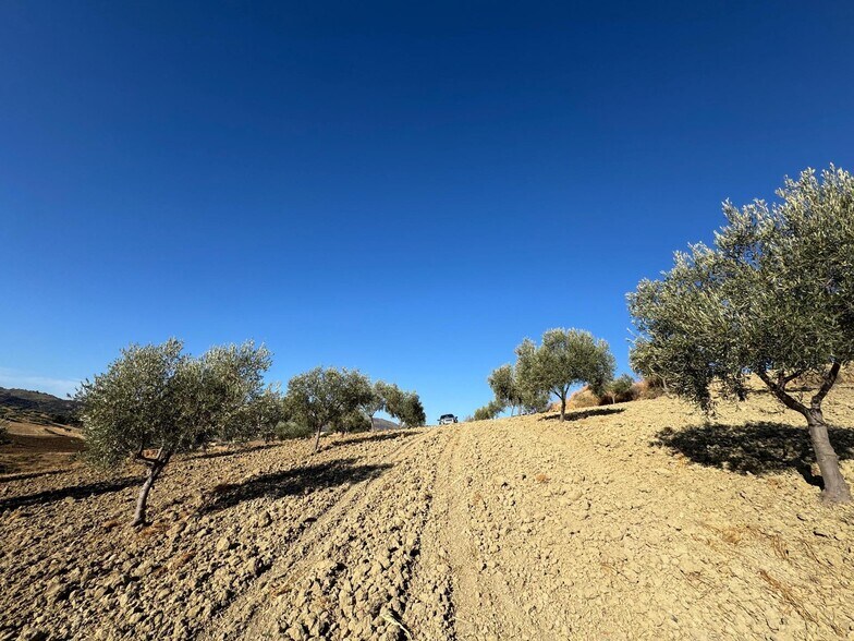 Terrain dans Casabermeja, Málaga à vendre - Aérien – Image 1 sur 13