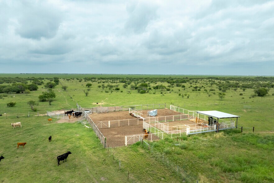 1038 FM 1360, Woodsboro, TX à vendre - Photo de l’immeuble – Image 3 sur 29