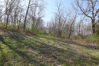 Plus de détails pour 19500 E Us-40 Hwy, Independence, MO - Terrain à vendre