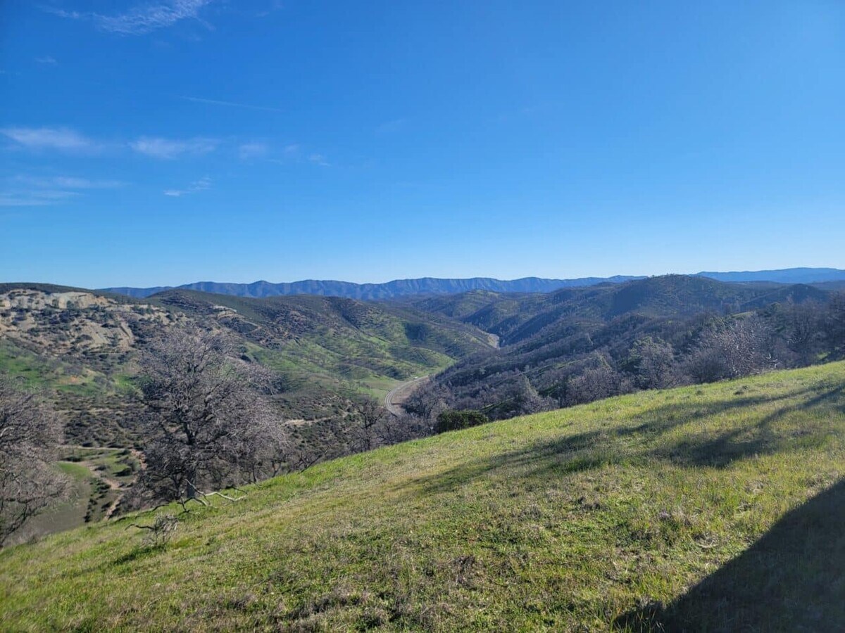 View Photo