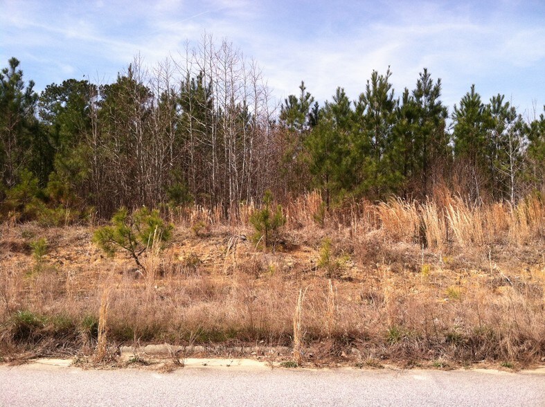 1376 Ruin Creek Rd, Henderson, NC à vendre - Photo principale – Image 1 sur 5