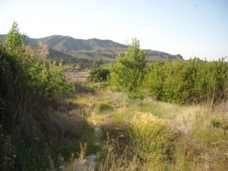 Terrain dans Calasparra, Murcia à vendre - Photo de l’immeuble – Image 2 sur 16