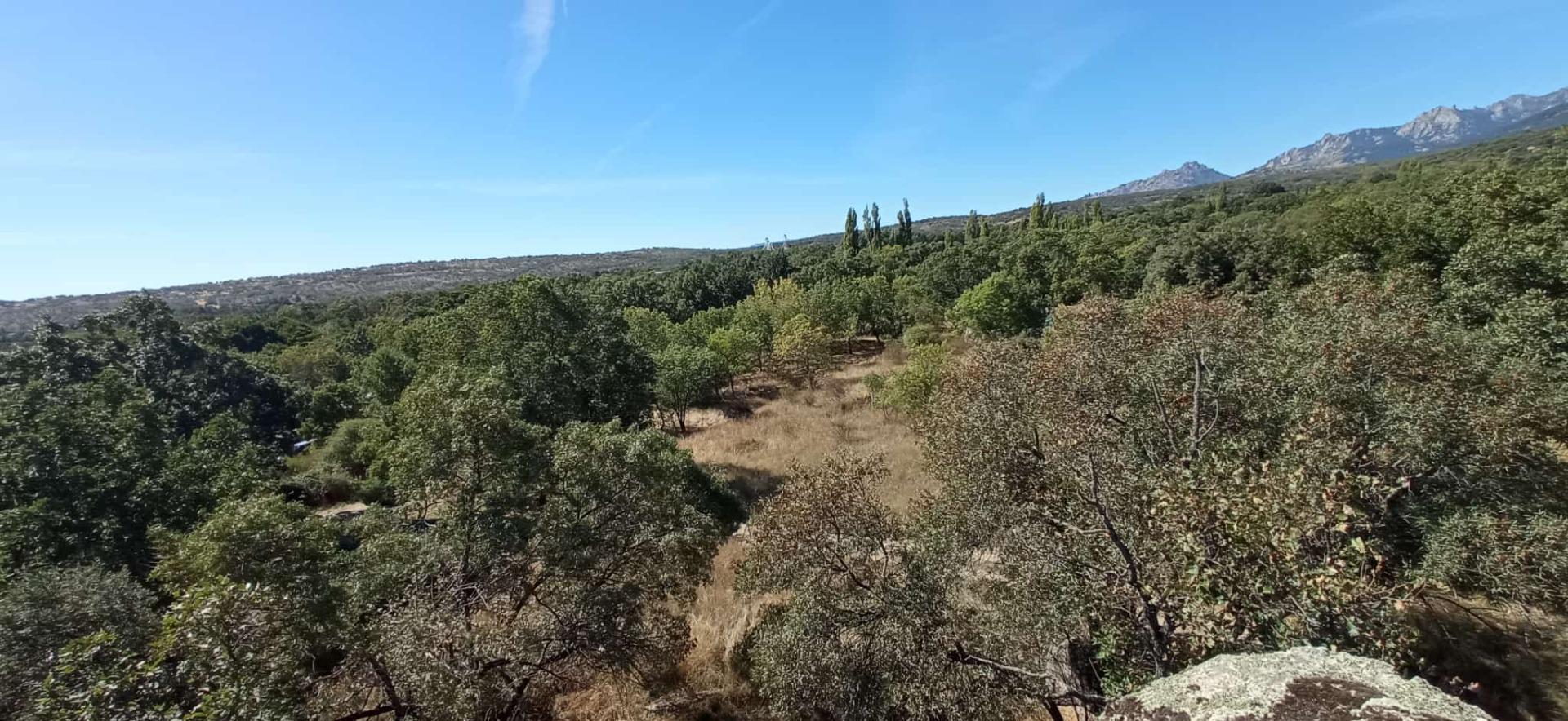 Terrain dans Miraflores de la Sierra, Madrid à vendre Aérien– Image 1 sur 3