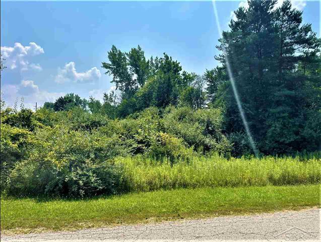 580 State Rd, Vassar, MI à vendre - Autre – Image 2 sur 9