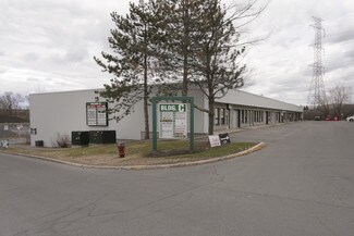 Plus de détails pour 2285 St Laurent Blvd, Ottawa, ON - Industriel/Logistique à louer