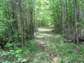 Plus de détails pour 1580 Fulton Hts, Danville, VA - Terrain à vendre