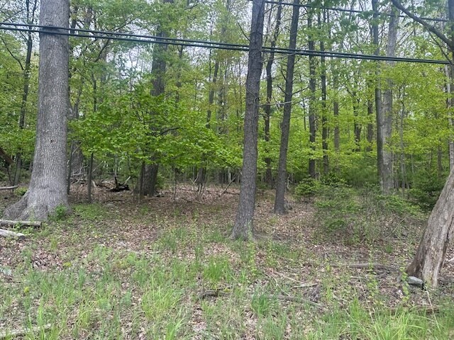 Route 611, Swiftwater, PA à vendre - Autre – Image 3 sur 3