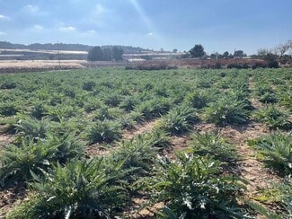 Plus de détails pour Polígono, Totana - Terrain à vendre