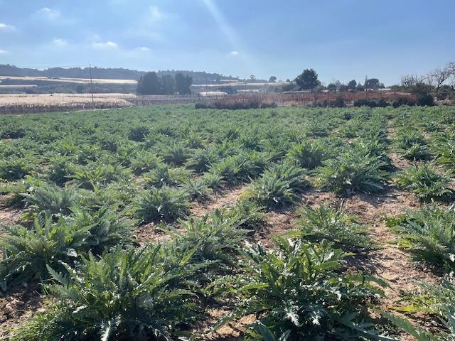 Polígono, Totana, Murcia à vendre Photo de l’immeuble– Image 1 sur 6