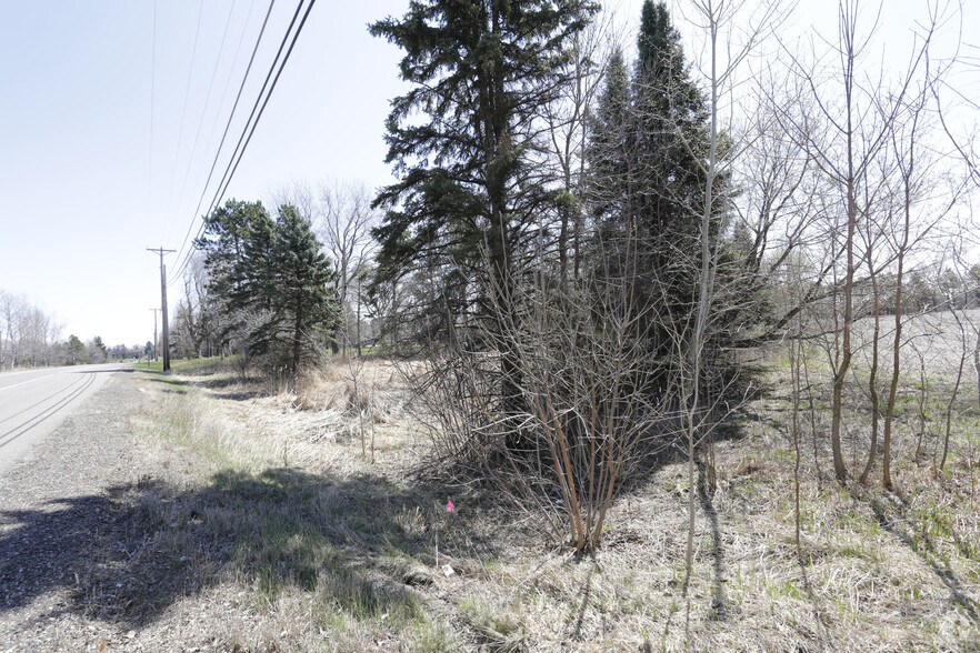 4971 Scandia Trl, Forest Lake, MN à vendre - Photo de l’immeuble – Image 1 sur 4
