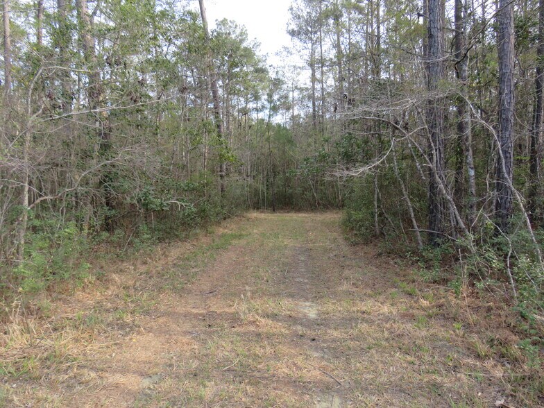 T.B.D. Finnell Road, Little River, SC à vendre - Photo de l’immeuble – Image 2 sur 4