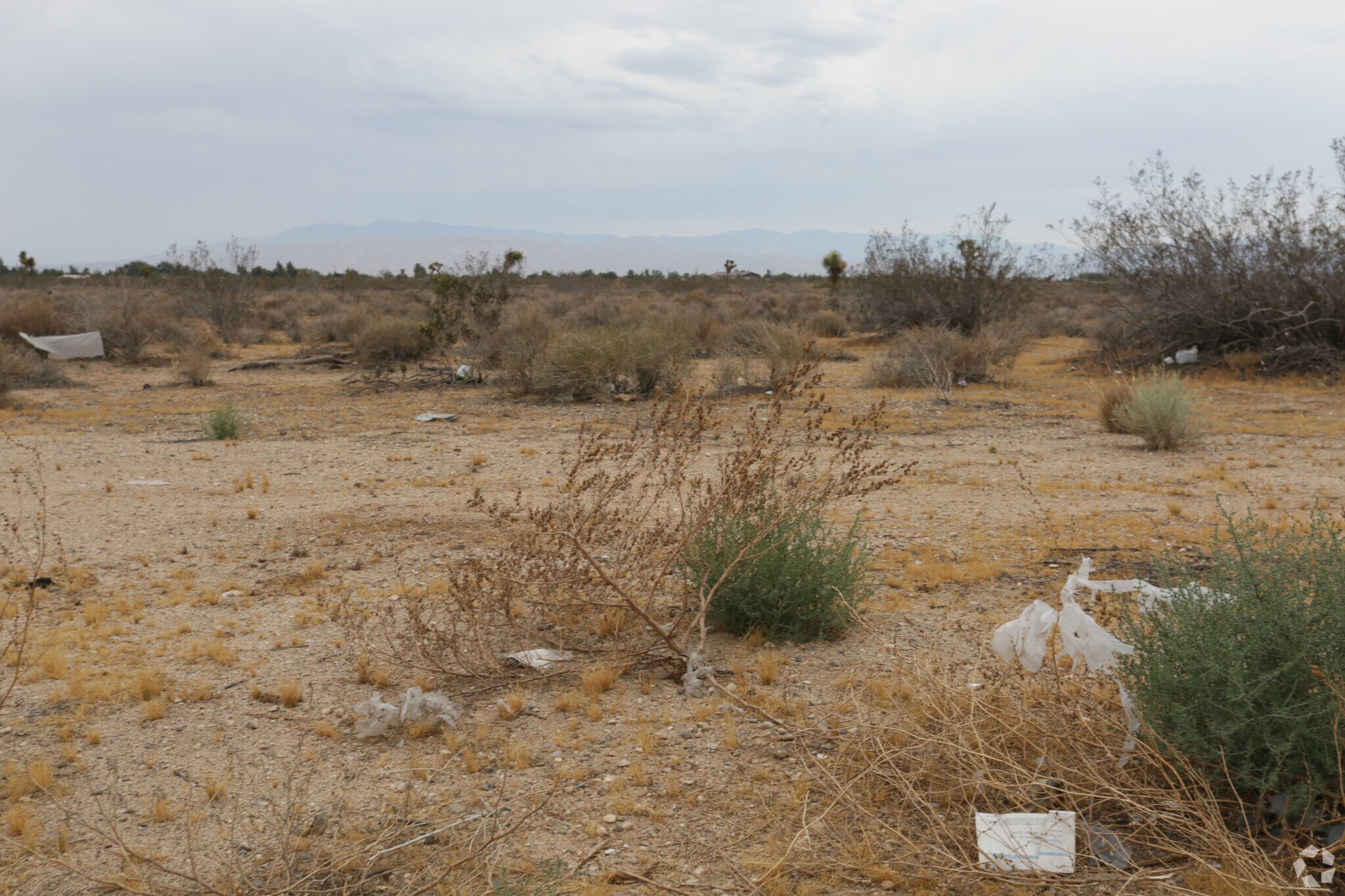 20.59-Acres Eucalyptus St, Hesperia, CA à vendre Photo principale– Image 1 sur 4