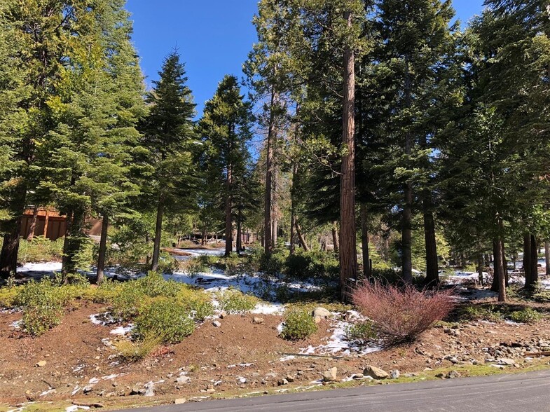 42518 Tourmaline Ln, Shaver Lake, CA à vendre - Photo de l’immeuble – Image 3 sur 3