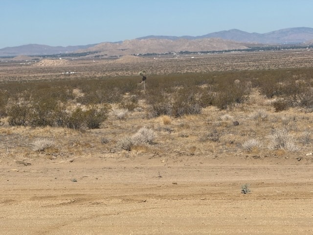 Photo principale