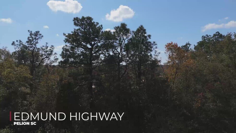 00 Edmund Hwy, Pelion, SC à vendre - Vidéo sur l’annonce professionnelle – Image 2 sur 14