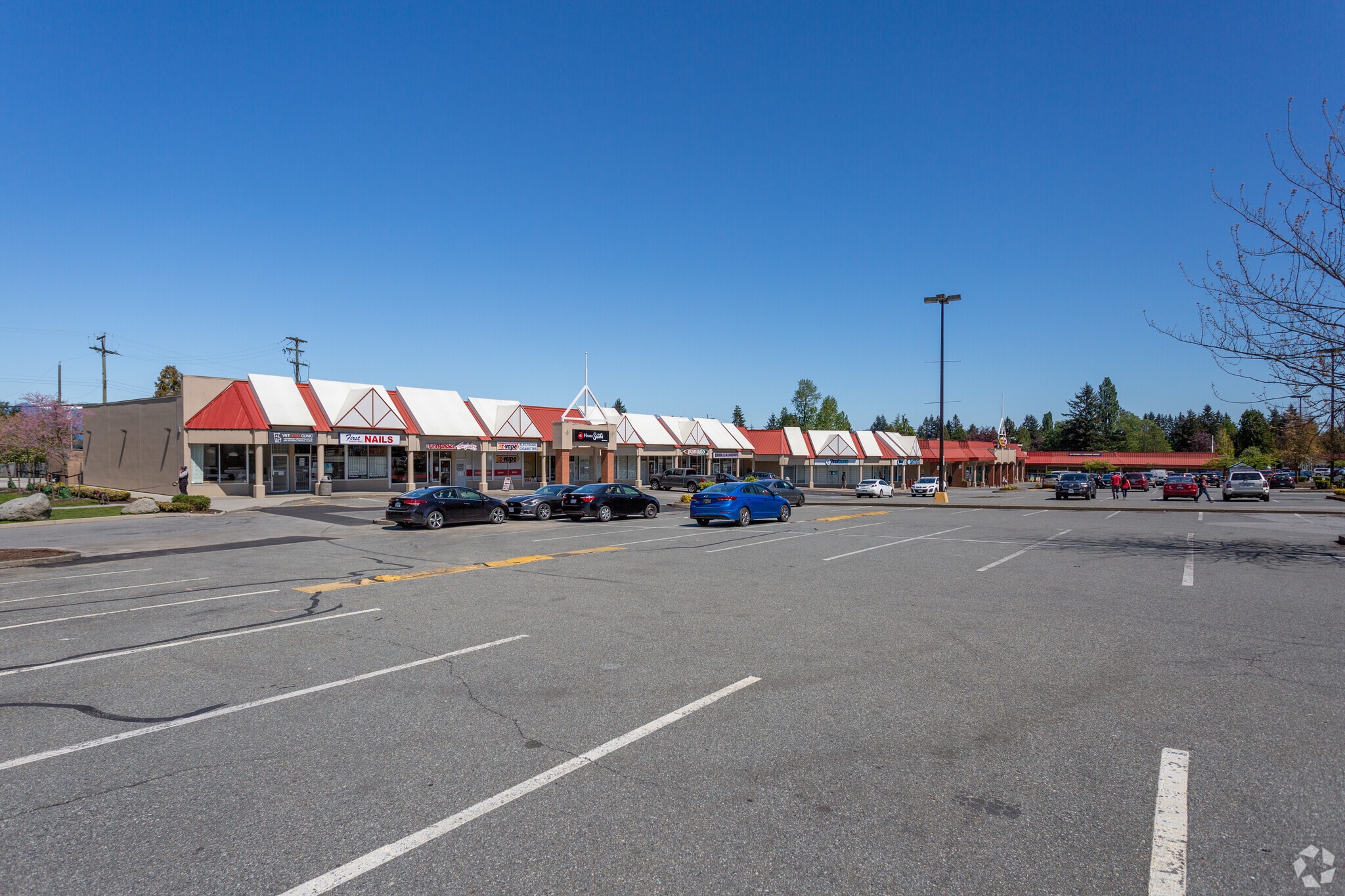 14815 108 Ave, Surrey, BC à vendre Photo principale– Image 1 sur 9