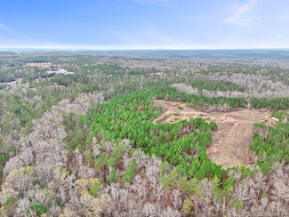 Plus de détails pour 16.31+/- AC Franklin Parkway Franklin GA 30217, Franklin, GA - Terrain à vendre