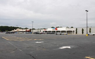 Plus de détails pour 2420 Wisteria Blvd, Snellville, GA - Local commercial à louer