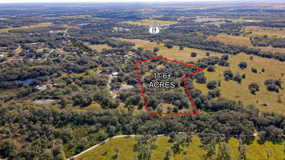 3128 SW Boll Weevil Rd, Arcadia, FL à vendre - Aérien – Image 3 sur 8