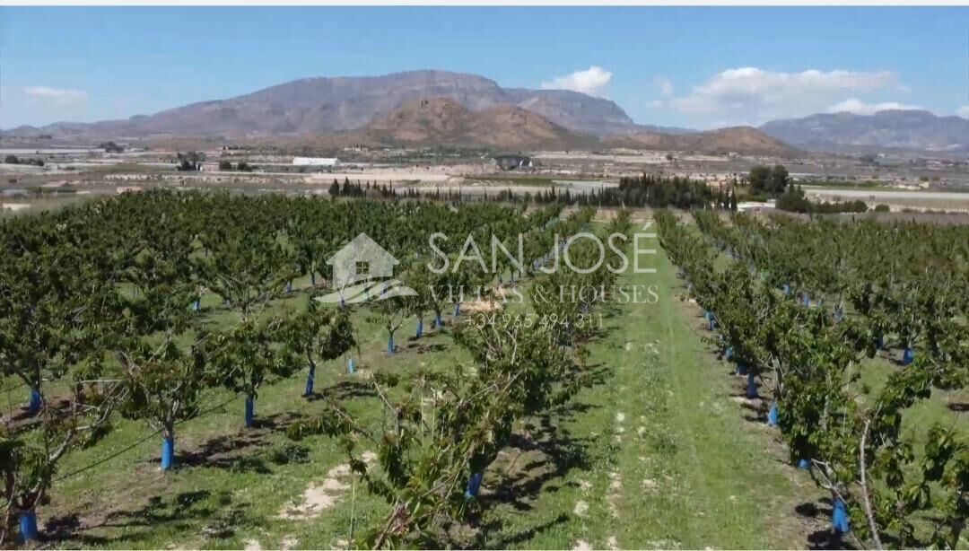Terrain dans Monforte del Cid, Alicante à vendre Aérien– Image 1 sur 11